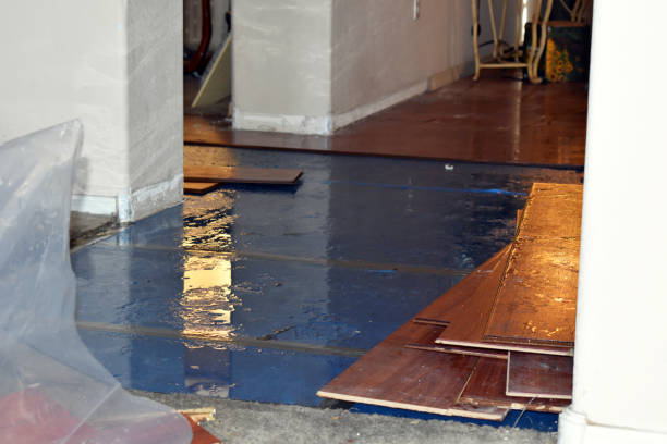 Professional Flood Damage Restoration technician working in Livermore, CO